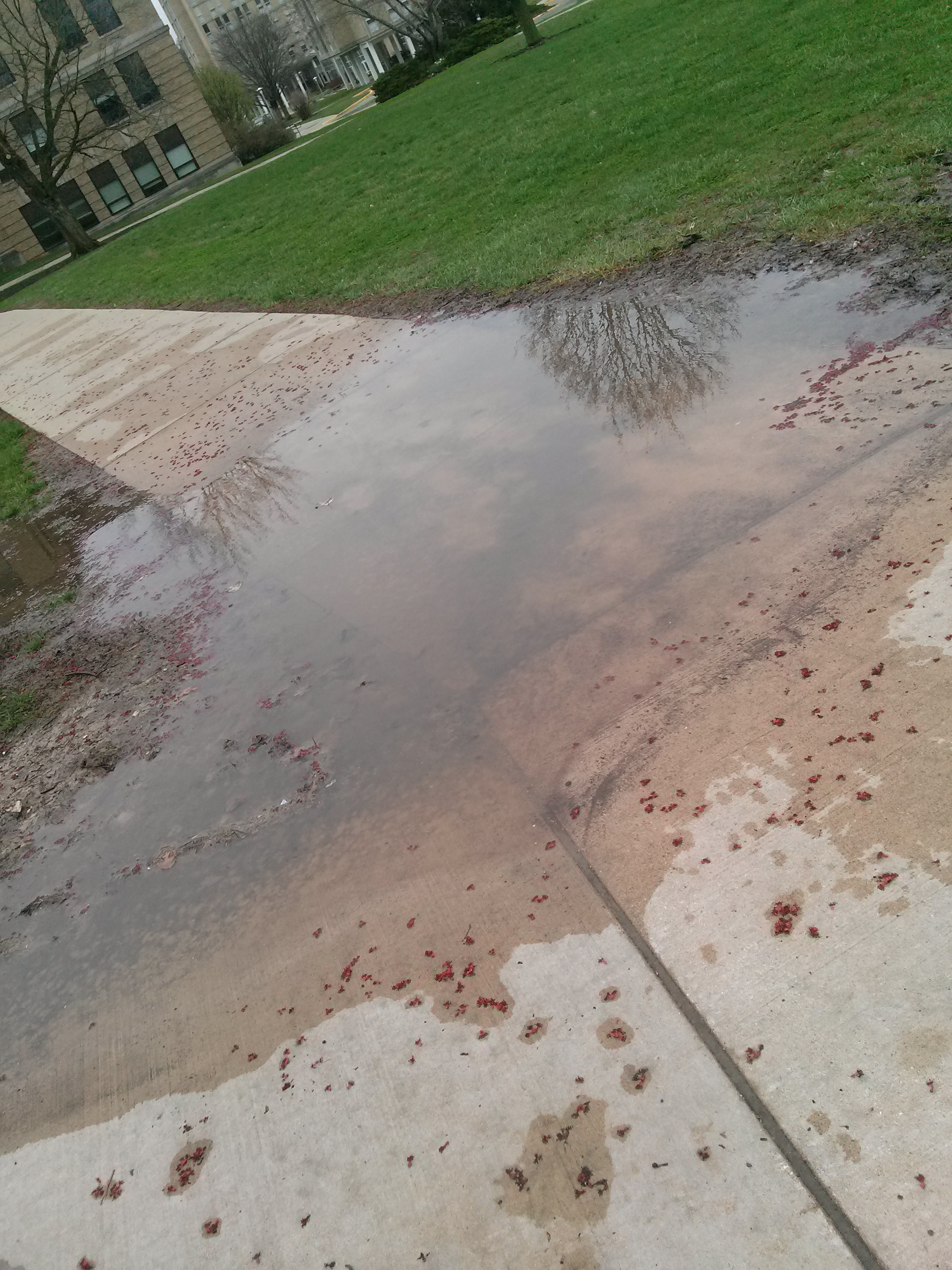 Simpkins Puddle