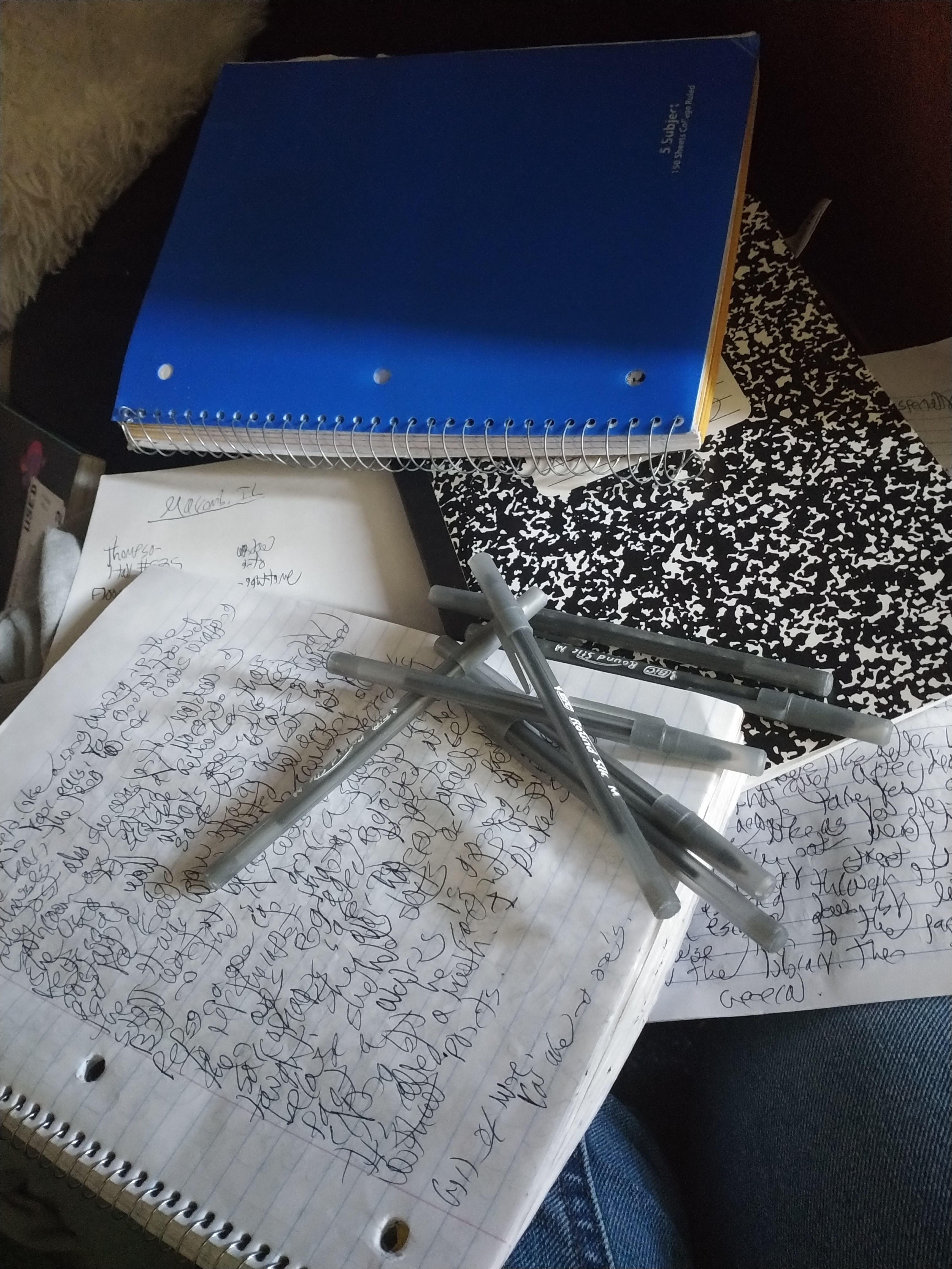 The Limitless Wonder of Notebooks