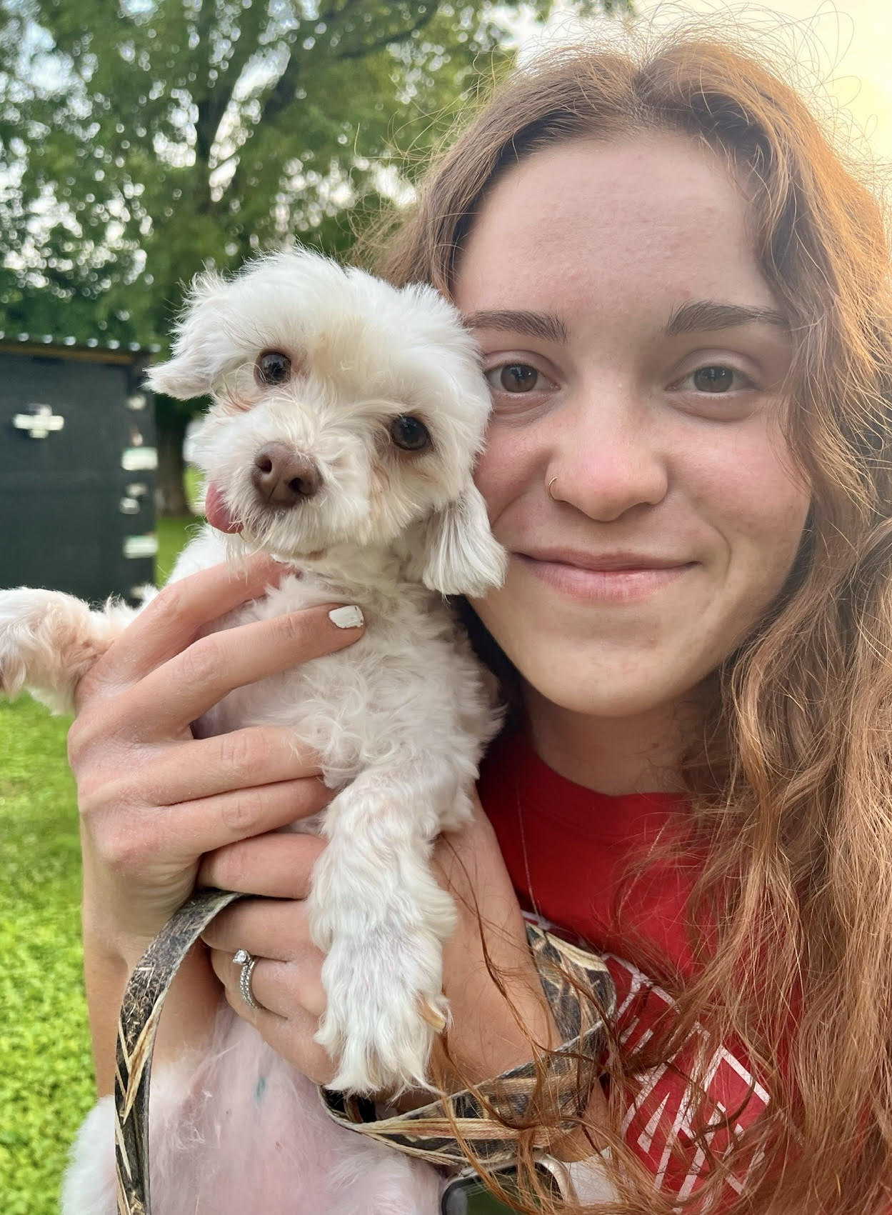 Everyday English Majors: Alexis Minasian