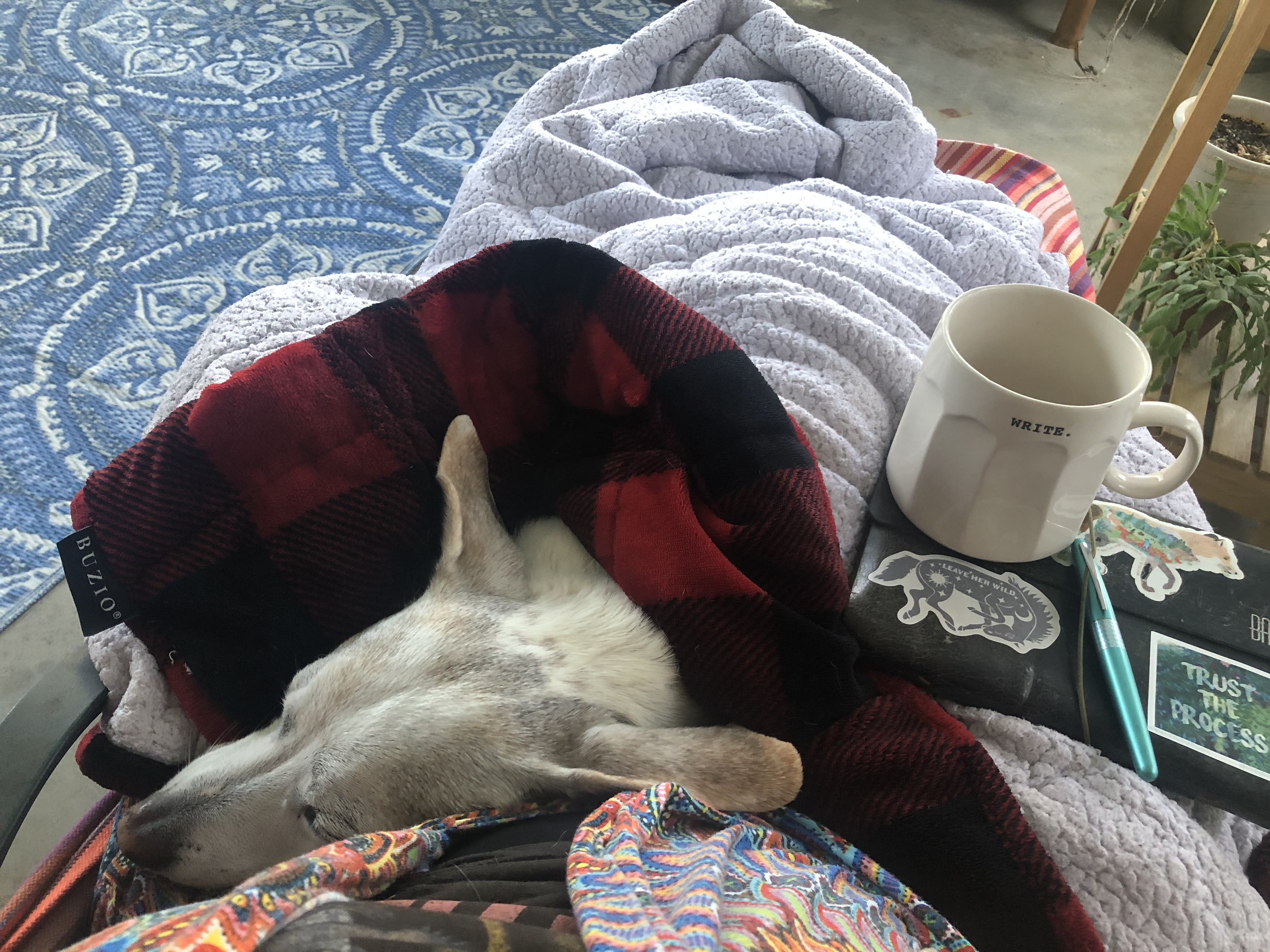 Coffee Talk – Barbara Lawhorn