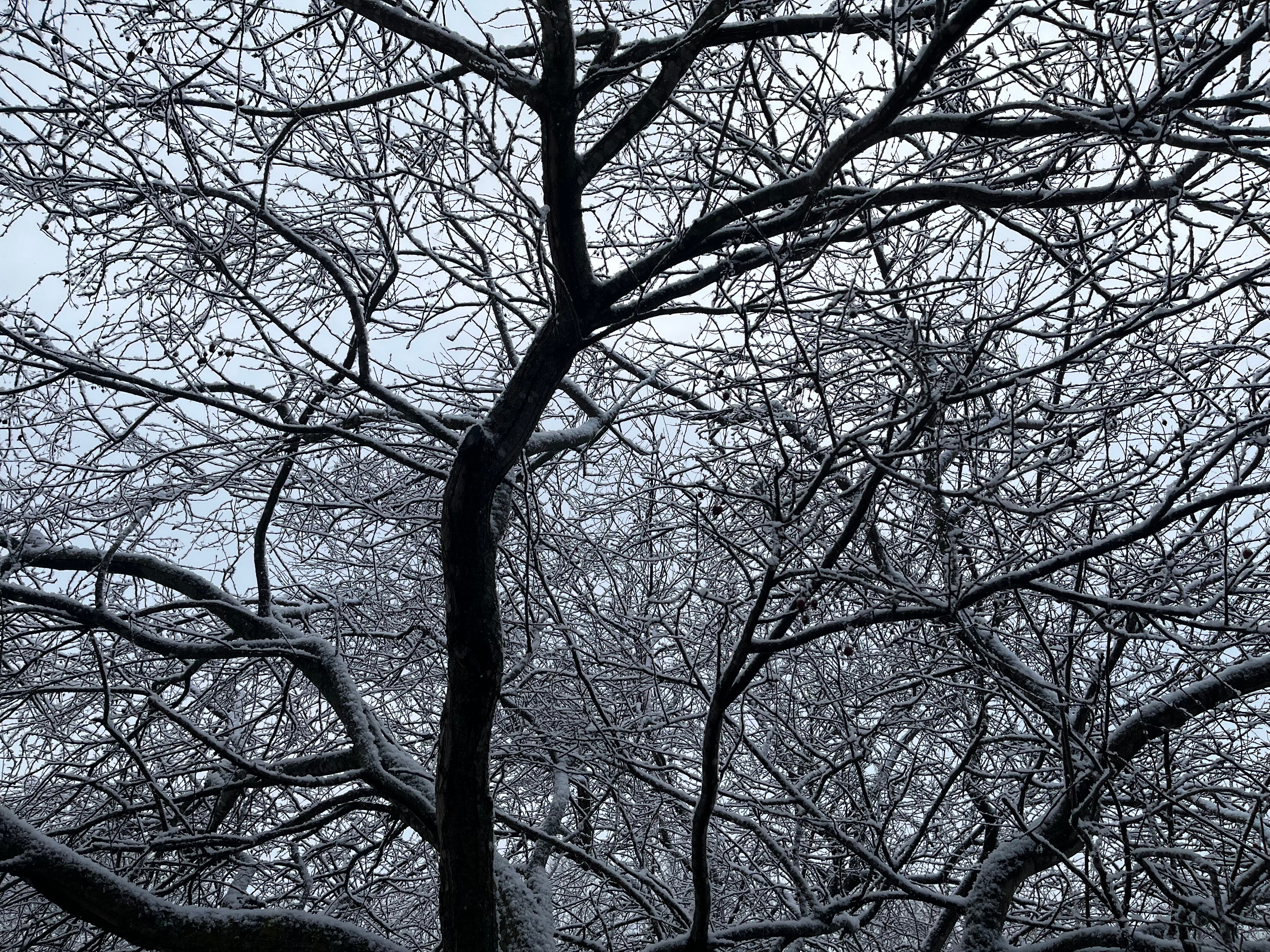 Returning to the Foundation: Reflections on ENG 285